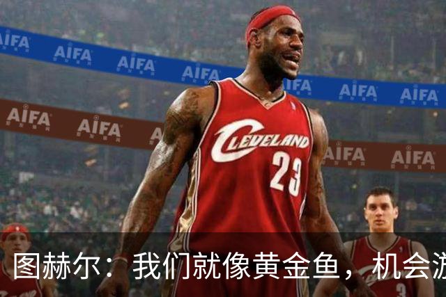 图赫尔：我们就像黄金鱼，机会游过却没抓住！