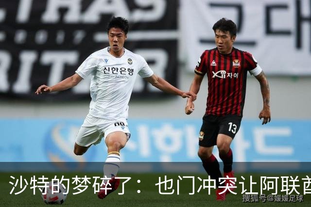 沙特的梦碎了：也门冲突让阿联酋和伊朗“惊醒